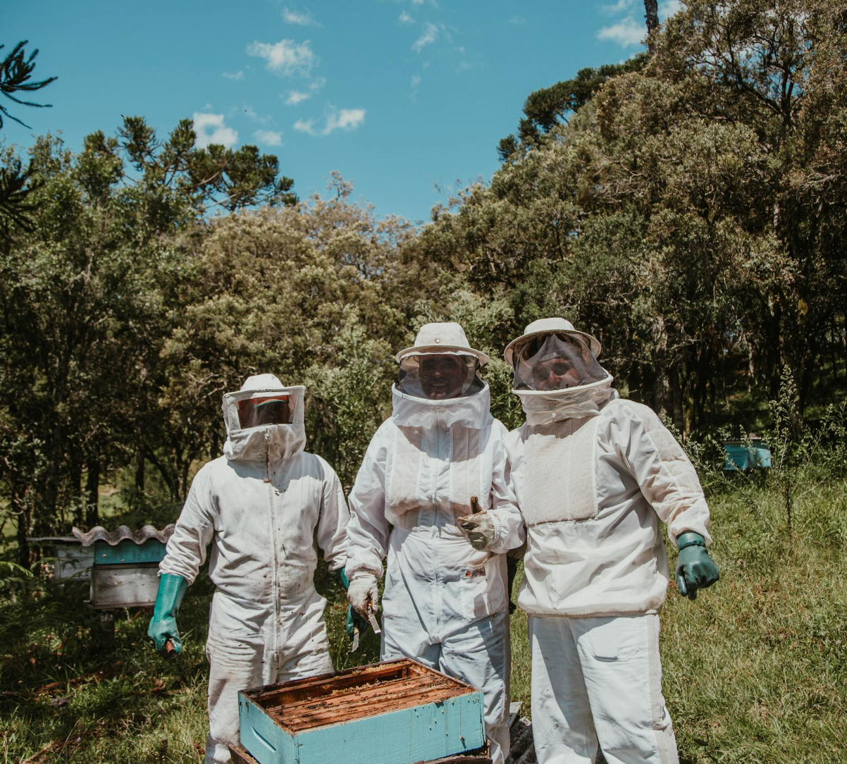 Pack Miel Melipona + Dátiles Cachito