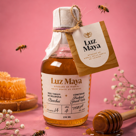 Miel Melipona - Colaboración con Luz Maya