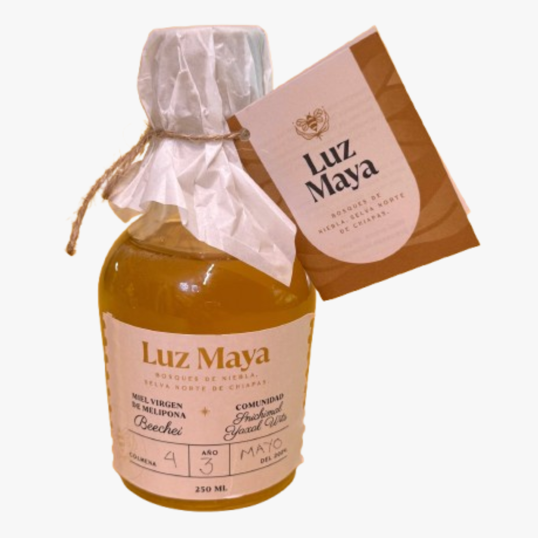 Miel Melipona - Colaboración con Luz Maya