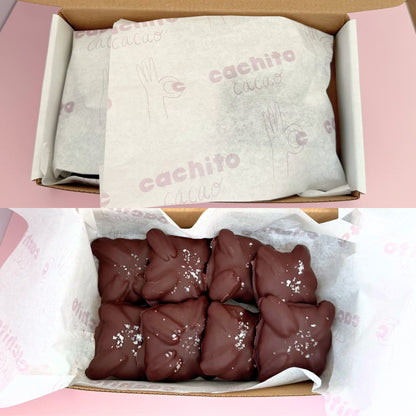 Tortugas Fit Cachito